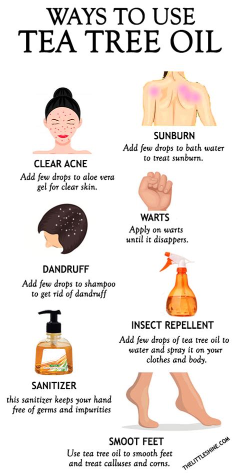 The Essential Guide to Tea Tree Oil: Benefits, Uses, and Wise .